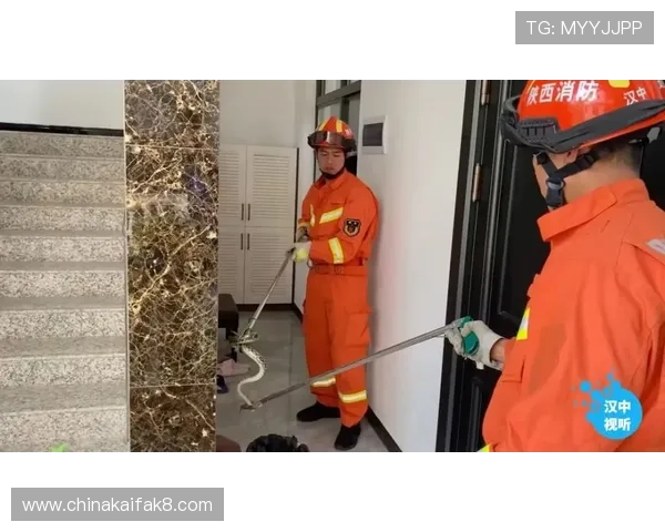 凯发视讯平台安全保障措施详解确保玩家资金与信息安全